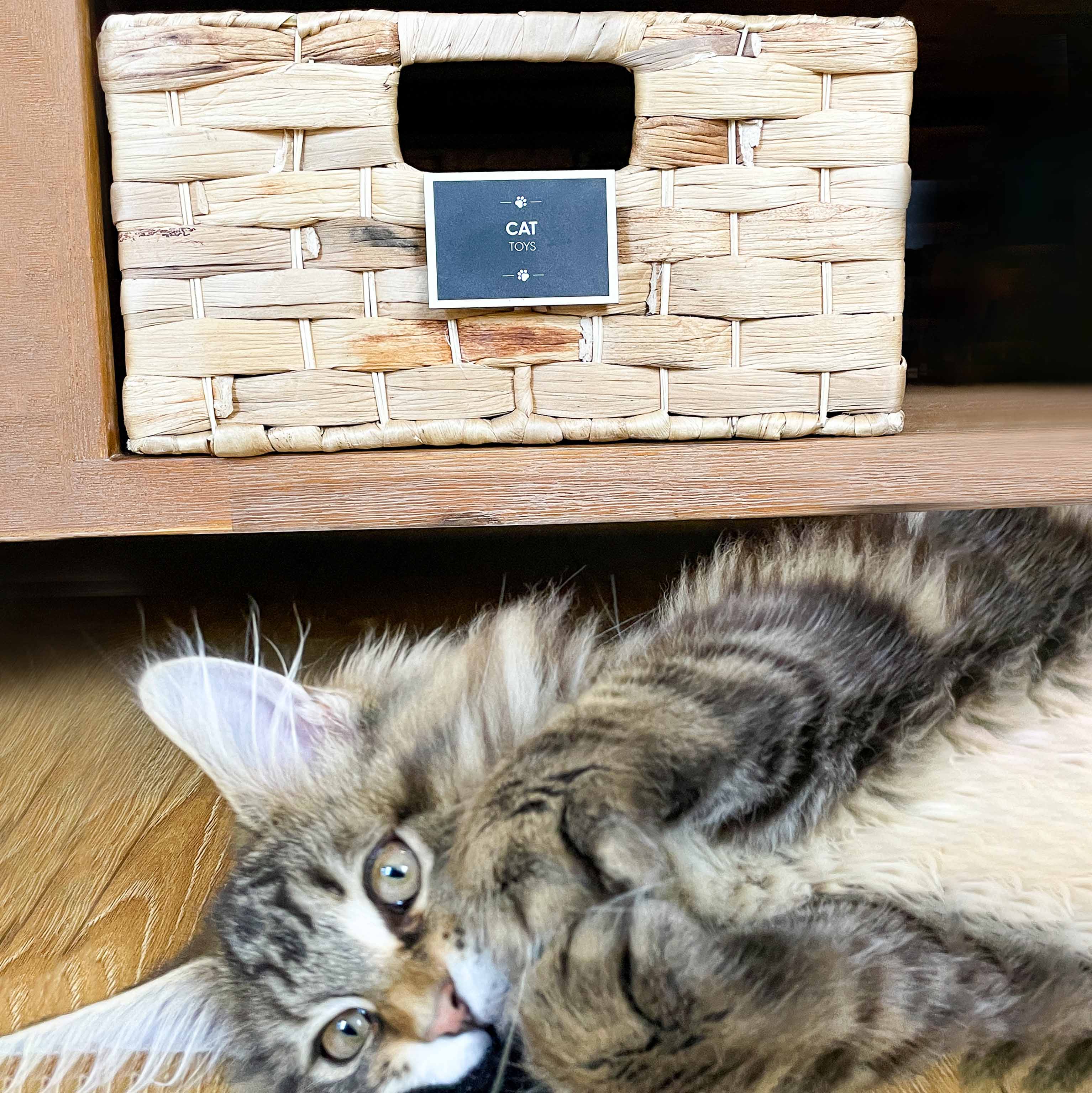 Pet Basket Labels - Various Designs - Image 3